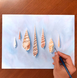 Shells of Tahiti Artwork & Collections